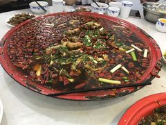 -东吴霸王兔(松青路店)