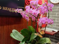 -裕和堂中医推拿艾灸(太古汇臻品店)