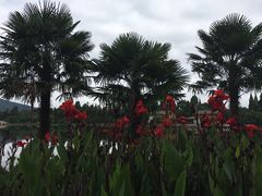 -云南滇池花园国际大酒店温泉