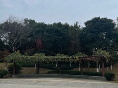 -仙岳公园
