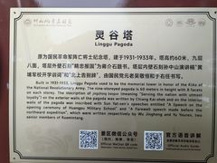 -灵谷景区