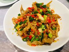 鸭掌筋-壹盏灯(惠农店)