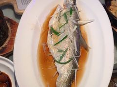 -绿茶餐厅(松江万达店)