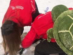-绍兴启迪乔波冰雪世界