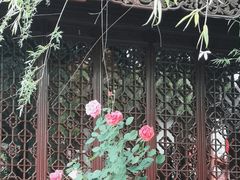 -檀园