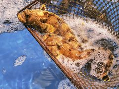 -丁字口海鲜热炒·烧烤大排档