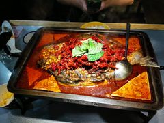 重庆豆花味凌波鱼-探鱼·鲜青椒爽麻烤鱼(广州花都来又来店)
