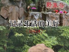 -野象谷景区