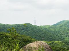 -阳台山森林公园