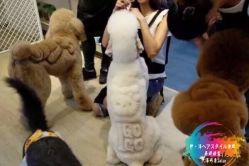 点击看大图 -GIRL STYLE 烫发·染发沙龙
