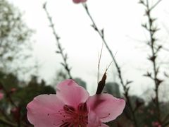 -重庆彩云湖湿地公园
