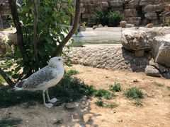 -石家庄市动物园