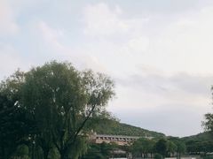 -上海佘山世茂艾美酒店