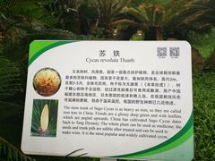 -华南国家植物园-售票处