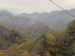 -黎老幺光雾山黄羊汤锅