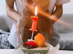 -欣奇西点蛋糕(宜欣店)