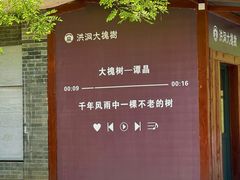 -大槐树寻根祭祖园