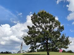 -云漫湖生态度假公园