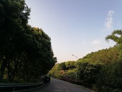 -铁山坪森林公园