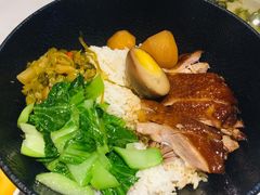 -MR鹅外