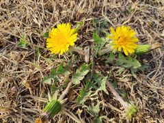 -汉长安城未央宫国家考古遗址公园