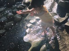 -成都市活水公园
