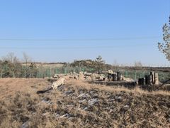 -鄂尔多斯野生动物园