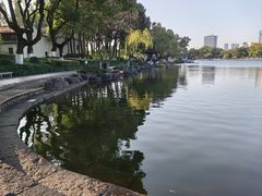 -月湖公园