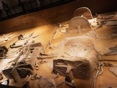 -洛阳周王城天子驾六博物馆