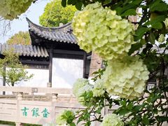 -常熟方塔园