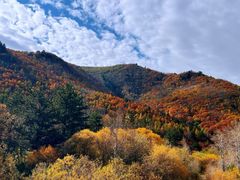 -塞罕坝国家级自然保护区
