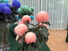 -上海鲜花港