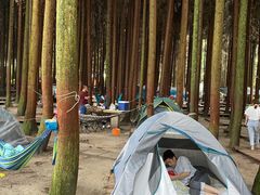 -武陵山森林公园
