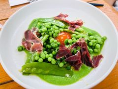 绿豌豆大战-FOGO