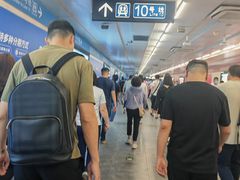 -宋家庄(地铁站)