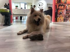 -肆兮眼镜·蔡司·徕卡战略合作店(大坪店)