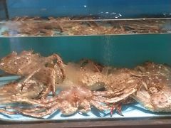 -阿伟海鲜楼·福建菜(延寿店)