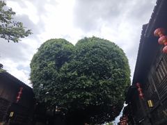 -三坊七巷历史文化街区