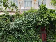 -斯多格书乡(北京大学畅春园店)