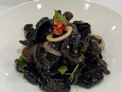 -九头鸟酒家(东高地店)