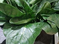 -煲宫(华润万象城店)