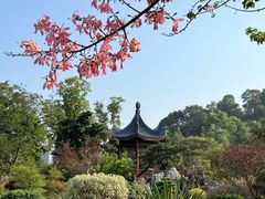 -东莞植物园