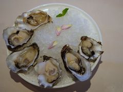 -Oyster Talks 四度蚝法餐厅