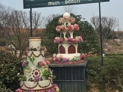 -大塘金香草谷