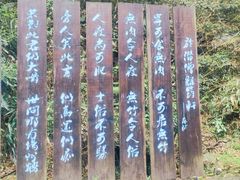 -众神白水涧景区