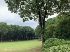 -新洲生态园