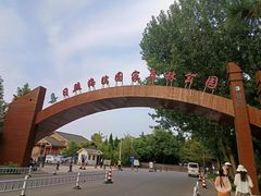 -日照海滨国家森林公园