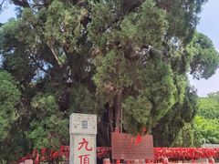 -四门塔风景区