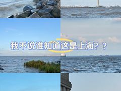 -上海吴淞炮台湾国家湿地公园
