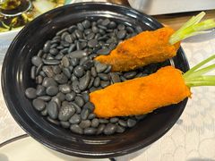 -丁老爷子苏香圆